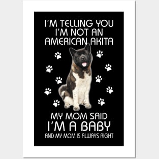 American Akita Baby Posters and Art